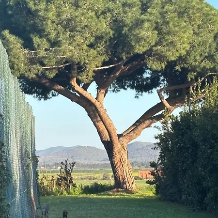 Fattoria Barca Colonna Daire *