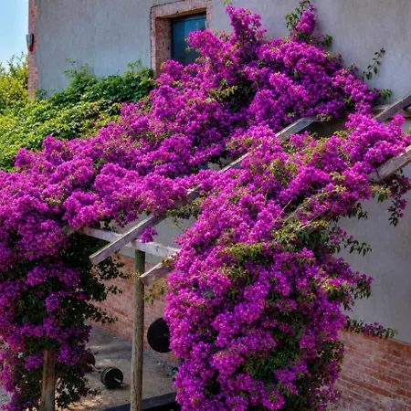 Fattoria Barca Colonna Apartamento